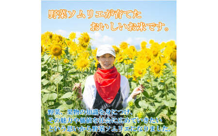 コシヒカリ 無洗米 5kg 令和7年産 【お米】