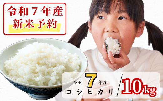 《令和7年産新米予約・10月ごろよりお届け開始》白米 10kg 令和7年産 コシヒカリ 岡山 あわくら源流米K-ag-AECA