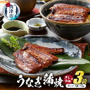 【ふるさと納税】 うなぎ 蒲焼 カット 70g×3袋 静岡産 うなぎ蒲焼 静生旅鰻 たれ・山椒付き 魚 冷凍 焼津 a20-218