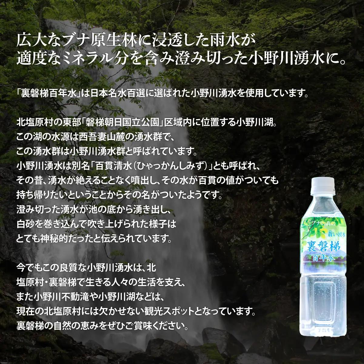 【6ヵ月定期便】裏磐梯百年水 ナチュラルミネラルウォーター（500ml×24本×6回） KBJ038