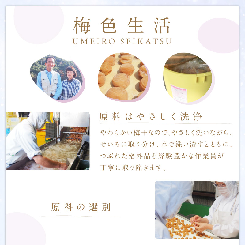【紀州南高梅】北海道産昆布入 こんぶ梅 900g【0852-5】