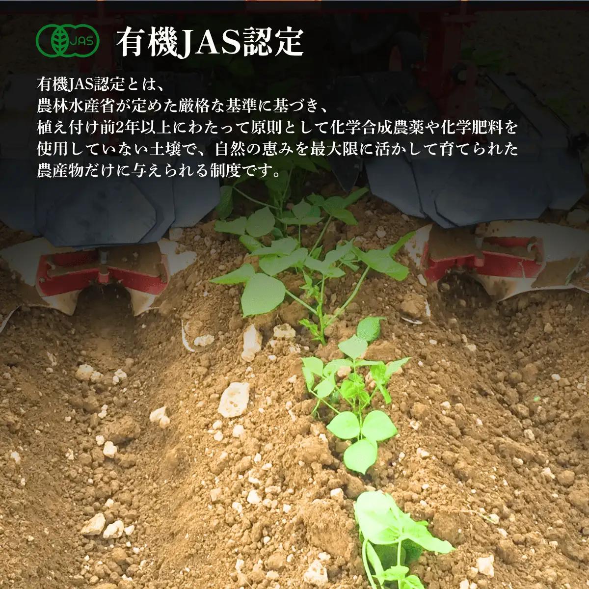 有機JAS 丹波黒豆枝豆 1.5kg 500g×3袋 〈丹波市産〉 黒枝豆 有機野菜