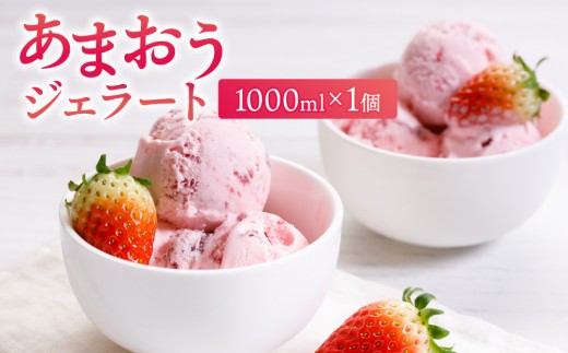 福岡産 あまおう ジェラート 1000ml | いちご 濃厚 果汁 高級 アイス デザート スイーツ