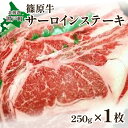 【ふるさと納税】篠原牛サーロインステーキ 約250g×1枚 ふるさと納税 人気 おすすめ ランキング 牛 牛肉 ステーキ サーロインステーキ サーロイン にく きたみらい牛 国産牛 肉牛 柔らかい 肉 ミート ビーフ ギフト プレゼント 贈答 北海道 置戸町 送料無料 OTC001