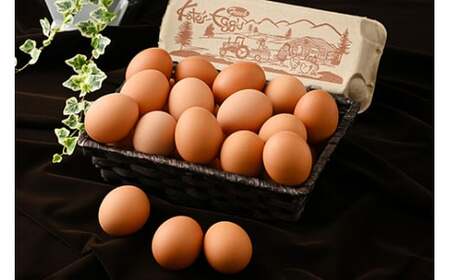 【6か月定期便】高根沢町産 たまご 加藤養鶏場の赤たまご M～Lサイズ 30個(27個＋割れ補償3個)×6ヶ月 計180個｜ 卵 玉子 たまご 赤卵 赤たまご 生卵 国産 濃厚 鶏卵 コク 旨み ※北