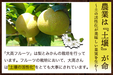 大高フルーツの旬の梨(幸水/豊水/秋麗/あきづき/甘太/新高)★約3kg(5-12玉前後) 予約受付中 フルーツ 秋 旬★熊本県玉名郡玉東町 《8月中旬-10月上旬頃出荷》｜ブランド梨 人気梨 特産品