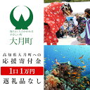 【ふるさと納税】高知県大月町への応援寄付金1万円　【返礼品なし】