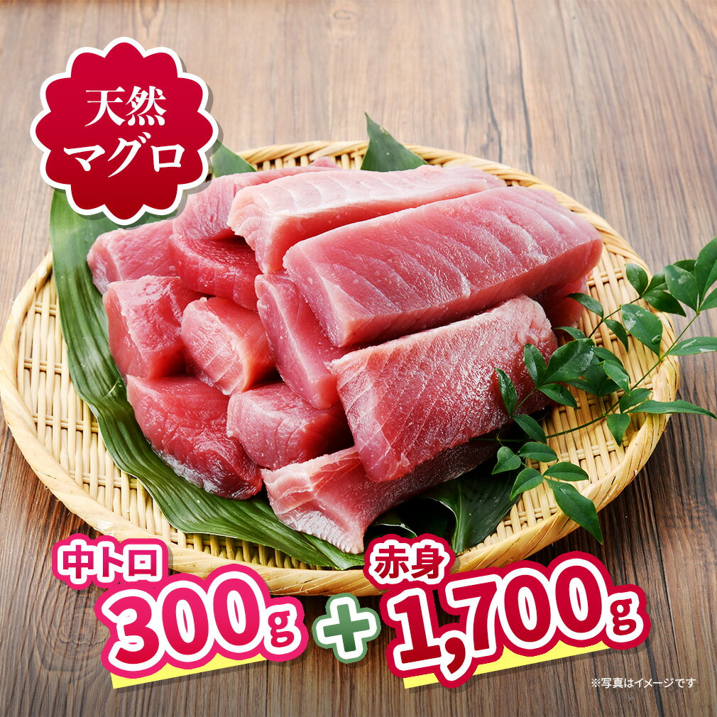 【ふるさと納税】 三崎の天然マグロ三昧 中トロ 赤身がたっぷり入った王道コンビ 2kg セット まぐろ 鮪 赤身 中とろ 天然 三崎まぐろ や印 ふるさと納税 神奈川県 三浦市 おすすめ ランキング プレゼント ギフト