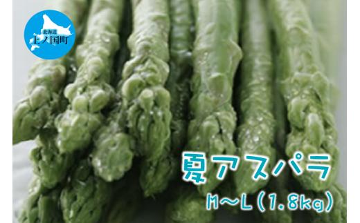 【2025年夏発送】刀祢農園の朝採り夏アスパラ　M～L（1.8㎏）