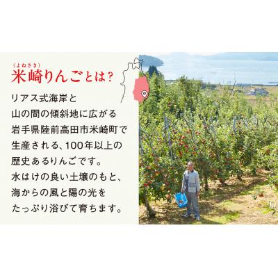ふるさと納税 陸前高田市 陸前高田市産 米崎りんご 約3kg 品種おまかせ ★海の見えるりんご屋「つなぎ」★ 旬 りんご |  | 01
