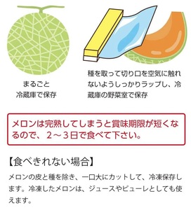 【令和8年産先行予約】 紅花メロン(赤肉)　3Lサイズ　1玉入り1箱　山形県鶴岡市産　小林ファーム 