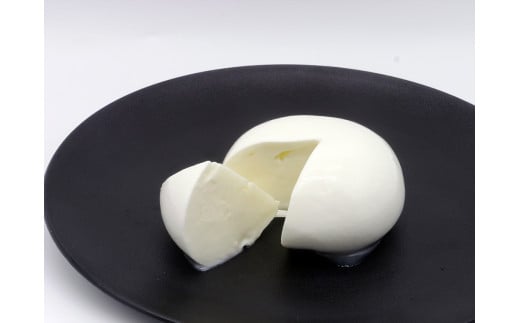 【Early Remix】チーズ3種セット|リコッタチーズ モッツァレラチーズ スカモルツァ（CJ08）