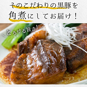 鹿児島県産 黒豚 角煮 1kg（250g×4袋）小分け 常温 レトルト【00-008-05】
