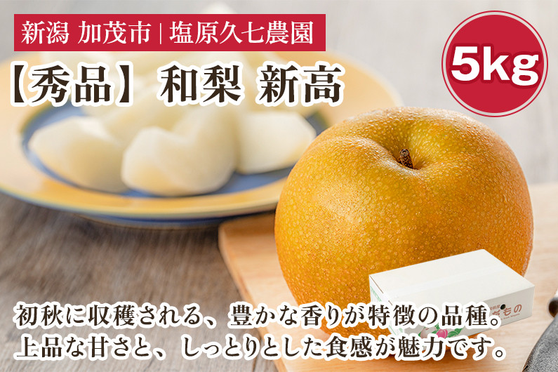 
            【2025年先行予約】新潟県産 和梨 新高 5kg 【秀品】《10月上旬から順次出荷》 にいたか なし 果物 フルーツ デザート ジューシー シャキシャキ  加茂市 塩原久七農園
          
