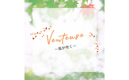 Venteuse～風が吹く～ブレンドアロマオイル