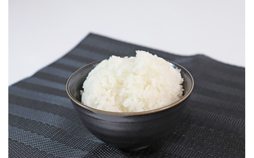 ≪令和7年産≫【6か月定期便】岐阜ハツシモ10kg