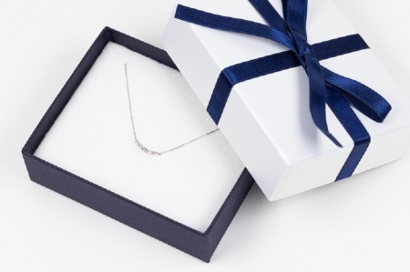 PT900 アーチネックレス ARC-N-PT