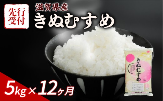 【令和8年産】 先行予約 新米 きぬむすめ 5kg 12回定期便 令和8年産 定期便 米 精米 こめ コメ お米 ご飯 米 キヌムスメ 米定期便 12か月定期便 12ヶ月定期便 12回 12ヶ月 12か月 1年 1年定期便 滋賀 彦根