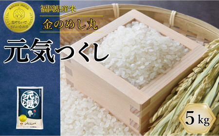 令和7年米 福岡県産 米 金のめし丸元気つくし 5kg | 精米 お米 こめ 白米 ライス ブランド米