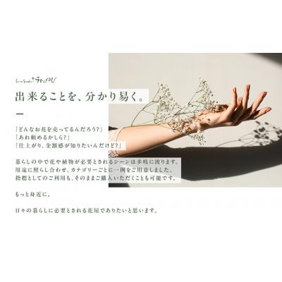 ふるさと納税 倉吉市 お花(生花)の6回定期便 |  | 03