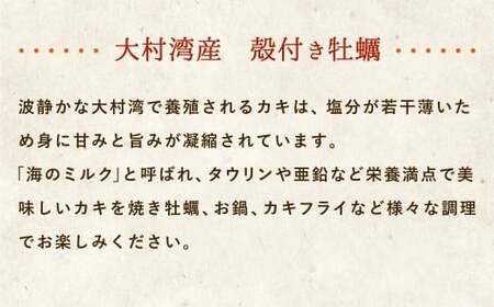 大村湾産 殻付き 小牡蠣 加熱用 Cセット 約4kg 長崎 カキ かき 冷蔵 【2026年2月上旬～3月上旬迄順次発送予定】