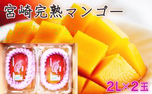 みやざき完熟マンゴー 約700g以上（2Lサイズ2個入[350g〜459g]×2個）_K010-006