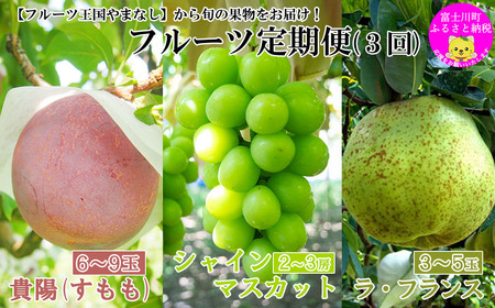 【2026年発送分】【数量限定】【やまなしフルーツ定期便（３回）】 貴陽（すもも）（６-９玉）＆シャインマスカット（２kg前後・３-４房）＆ラ・フランス（1.5kg以上・３-５玉）　定期便　果物 フル