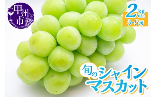 産地直送 山梨自然の恵み！旬のシャインマスカット 3～5房 2kg以上【2025年発送】（LKS）B18-850 【シャインマスカット 葡萄 ぶどう ブドウ 令和7年発送 期間限定 山梨県産 甲州市 フルーツ 果物】