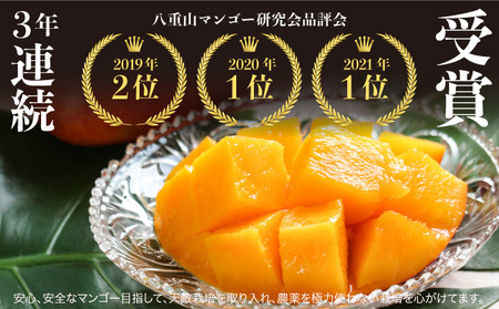 2024年 先行予約 アップルマンゴー 約4kg 8～12玉 完熟 マンゴー ますみ農園 果物 フルーツ