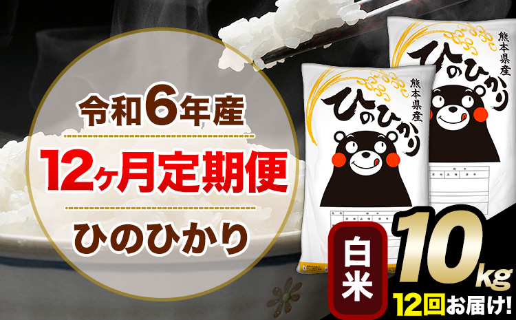 令和6年産【12ヶ月定期便】 白米 ひのひかり 10kg 5kg×2袋《お申込み翌月から出荷開始》熊本県産 単一原料米 南阿蘇村 ひのひかり 送料無料 熊本県 米 コメ こめ 国産---hn6tei_354000_10kg_mo12_mna_h---