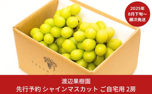 先行予約 シャインマスカット ご自宅用 2房 [8月下旬から発送予定] 令和7年度 自家用 新潟県 三条市産 ぶどう [渡辺果樹園] 【014S151】