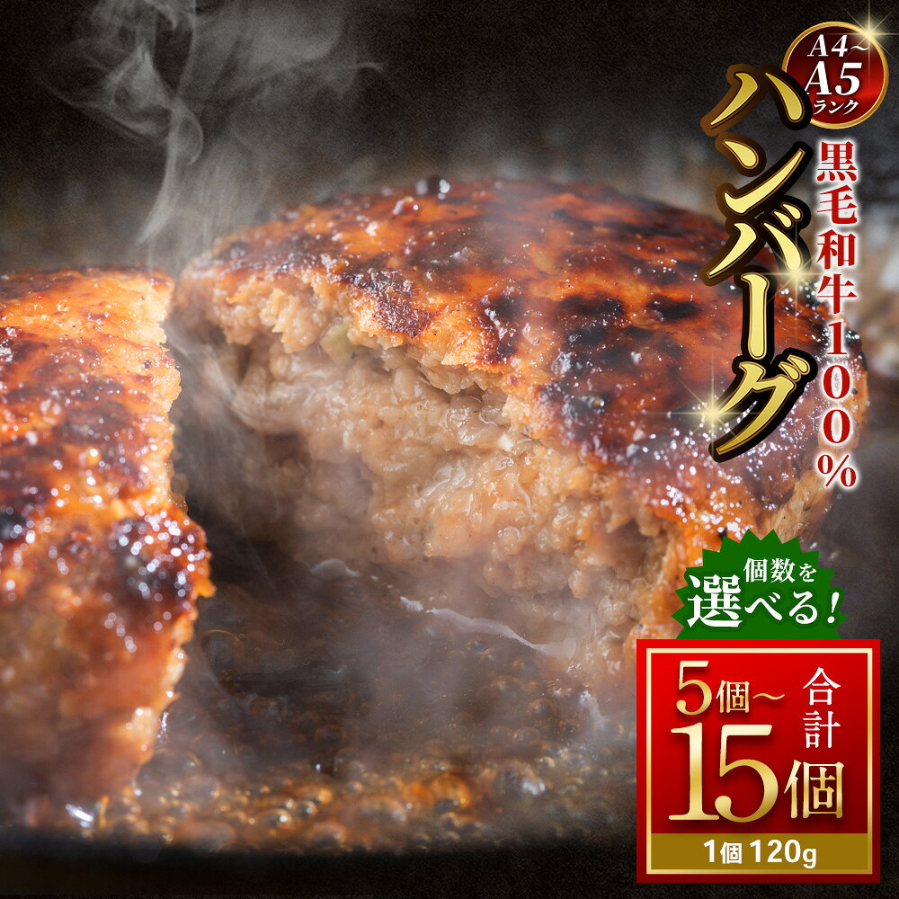 【ふるさと納税】【12月下旬以降順次発送】【A4～A5ランクの黒毛和牛100%】ハンバーグ 計600g（5個） / 計1.2kg（10個） / 計1.8kg（15個）＜選べる内容量＞ 1個あたり120g 黒毛和牛 牛肉 お肉 赤身 食べきりサイズ 個包装 お弁当 ギフト 贈答 国産 冷凍 阪南市 送料無料