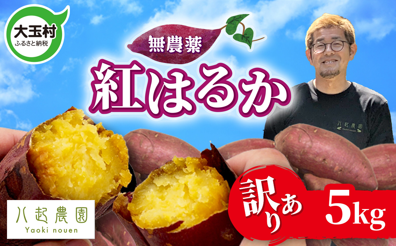 
            訳あり さつまいも 紅はるか 5kg 無農薬 規格外 不揃い サイズ混合 | さつまいも紅はるか 土付き サツマイモ スイートポテト おやつ 芋 さつま芋 福島県 大玉村 八起農園 ｜ yn-sm-wa‐b-5kg-r6 
          