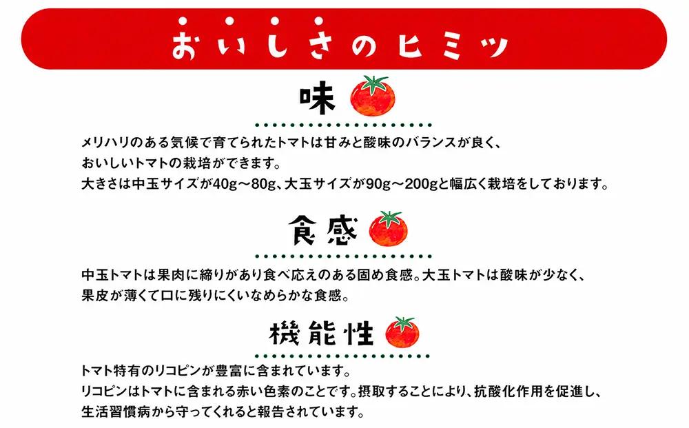 むつ市産　寅福菜園の「サステナブルトマト」4㎏