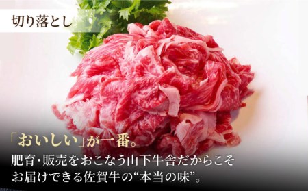 佐賀牛 A5 おうちごはんセットB（切り落とし 1kg・ミンチ 600g・牛すじ 600g） HAD124 切り落とし