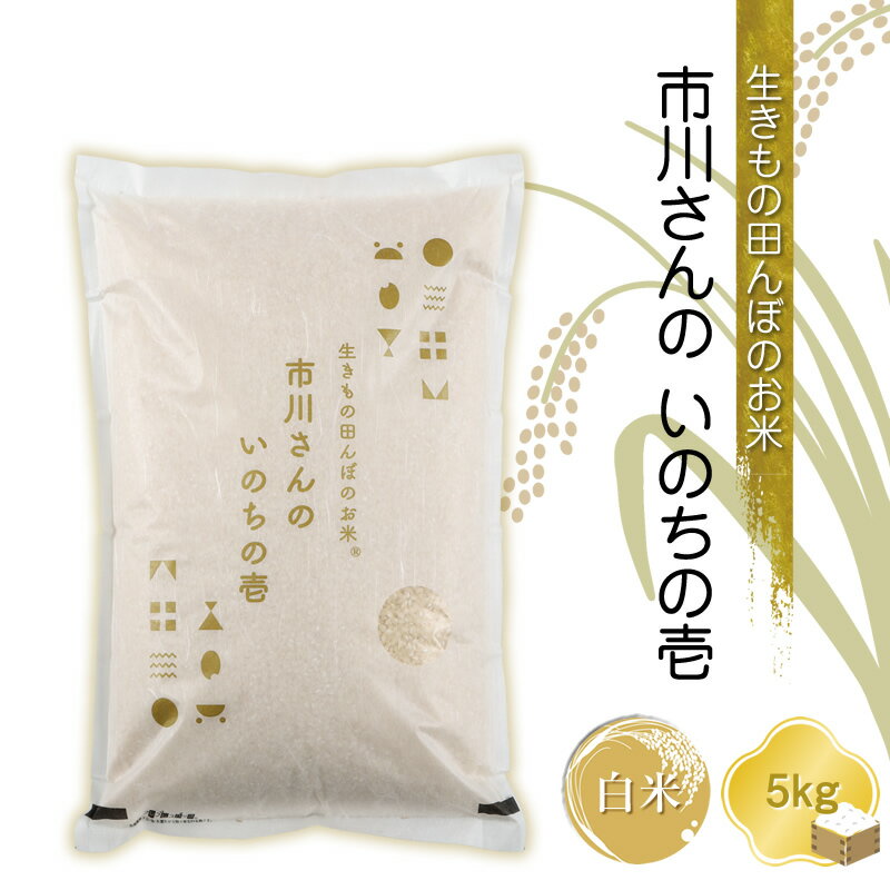 【ふるさと納税】【令和6年産】生きもの田んぼのお米 市川さんのいのちの壱【白米5kg】農薬・化学肥料・除草剤不使用 精米 コメ 信州 希少 【 米 コメ 備蓄品 仕送り おすそ分け 備蓄米 長野県 佐久市 】