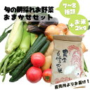 【ふるさと納税】旬のお野菜おまかせセット＆山出米2kg【新米先行受付】 - 令和6年11月以降順次発送 新米 令和6年産 新鮮 野菜 旬 朝採れ 季節 精米 お米 米 しっとり もちもち 甘み おにぎり 複数原料米 セット 詰め合わせ おまかせ 熊本県産 甲佐町【価格改定】