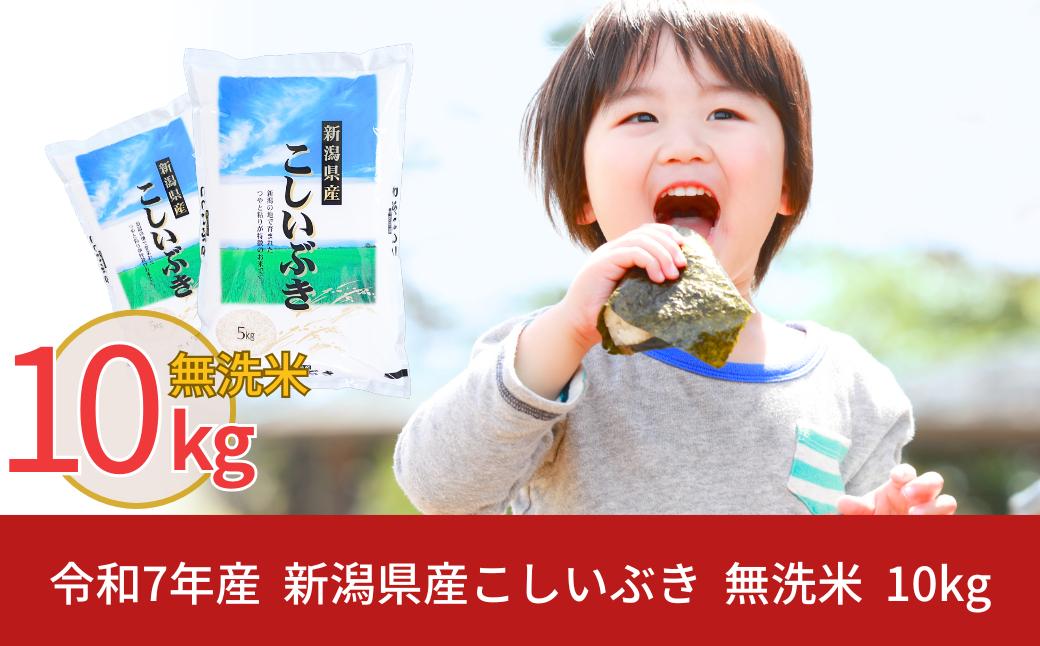 
            新米 先行予約 無洗米 新潟県産こしいぶき10kg 令和7年産 米 [株式会社白熊]【012S021】
          