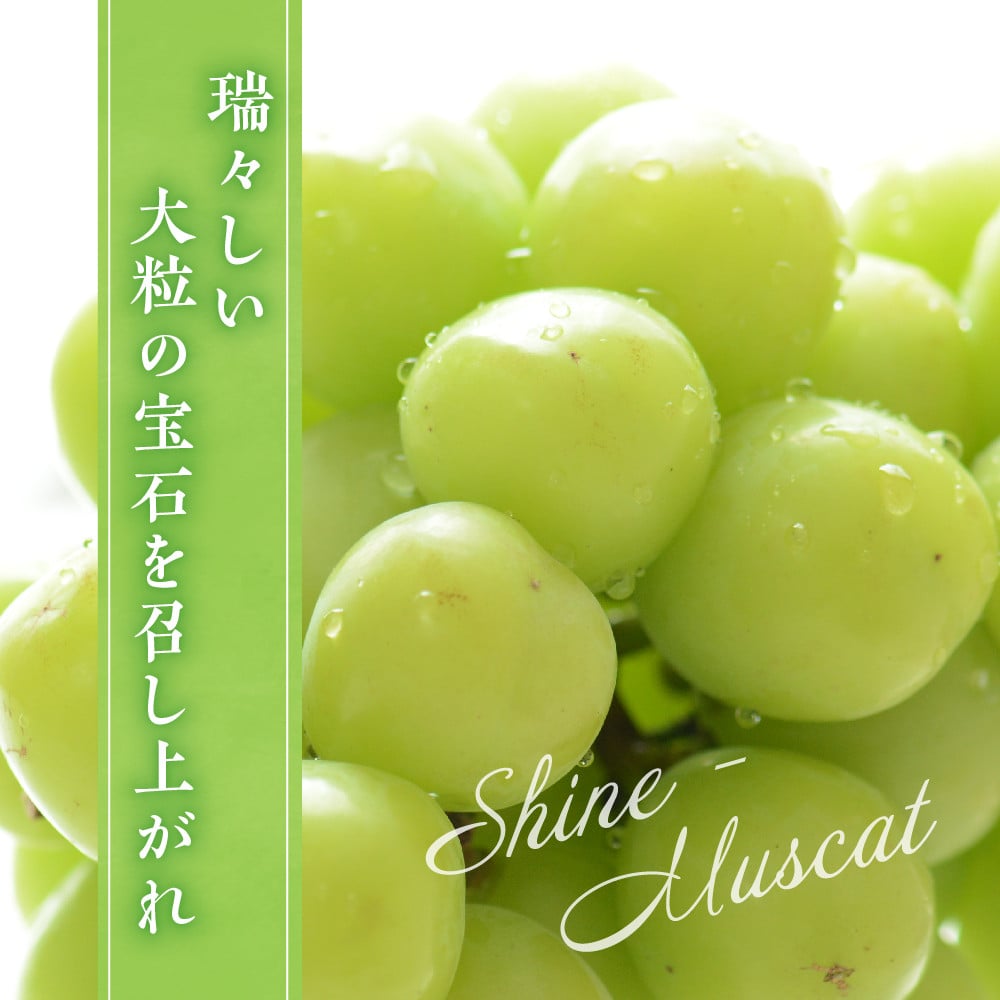 写真はイメージです