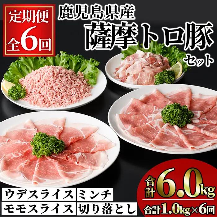 ＜定期便・全6回＞鹿児島県産 薩摩トロ豚 モリモリ おためしパック(合計6.0kg・1.0kg×6回) 【KNOT】T80