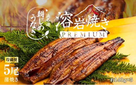 【浜名湖産】朝じめ うなぎ 溶岩焼き 蒲焼き 5尾（約140g×5尾） [№5786-5085]