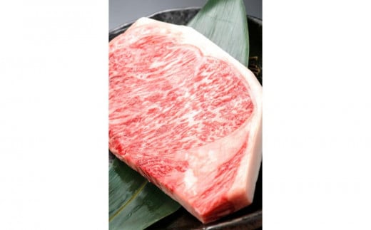 博多和牛　サーロインステーキ　定期便全5回　計約2kg