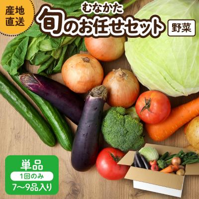 ふるさと納税 宗像市 むなかた旬のお任せセット(野菜) 7〜9品【JAほたるの里】_HA1569