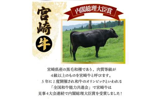 MCT6UB-69 【定期便・全6回】宮崎牛・宮崎県産豚肉 6ヶ月定期便！6.9kg
