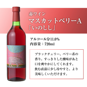 ワイン2本セット(赤ワイン×2本)酒 お酒 アルコール ぶどう 葡萄 安心院産 飲み比べ セット 安心院＊小さなワイン工房 【100802501】【百笑一喜】