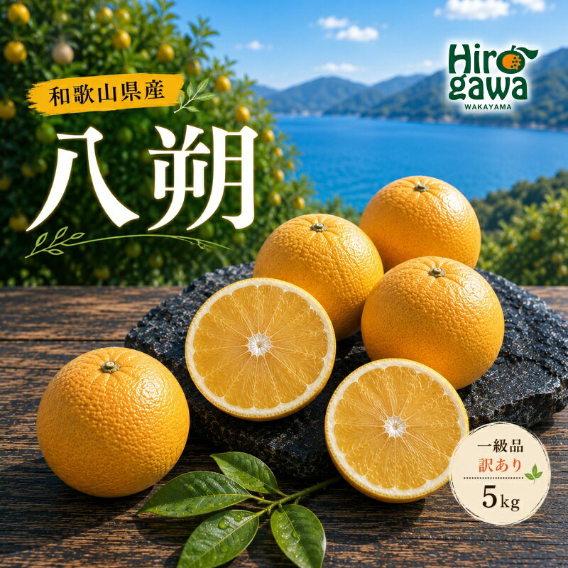 【ふるさと納税】 八朔 5kg 和歌山 広川町産 ※2027年2月上旬～2月下旬頃に順次発送予定 / 和歌山 有田 広川 みかん はっさく 柑橘 果物 くだもの ギフト フルーツ 果実