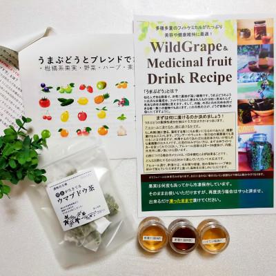 ふるさと納税 三木町 瞬冷凍☆ウマブドウ果実(野ぶどう)900g《3種のドリンクサンプル&レシピ&ウマブドウ茶付き》 |  | 02