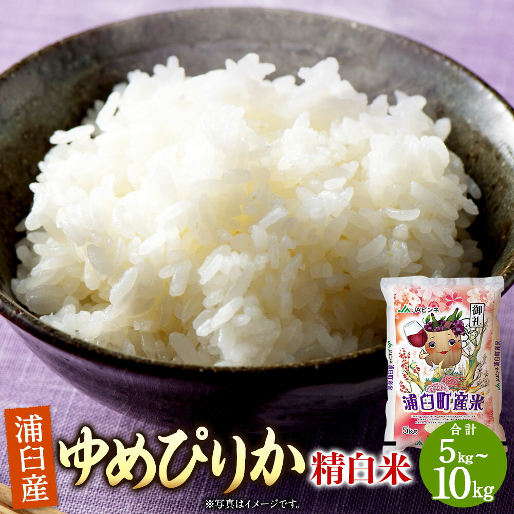 【ふるさと納税】＜選べる内容量＞〈令和8年産〉 浦臼産 ゆめぴりか 精白米 5kg×1袋 / 計10kg（5kg×2袋） お米 米 こめ コメ 白米 精米 単一原料米 ご飯 ごはん 北海道産 国産 北海道 浦臼町 送料無料 【2026年10月下旬より順次発送】