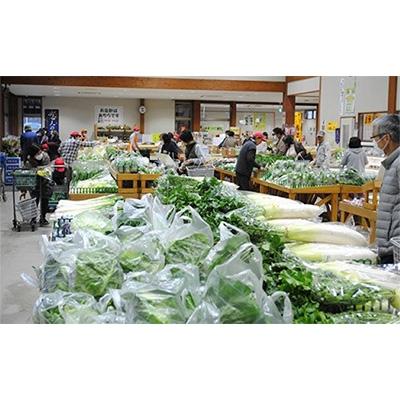 ふるさと納税 袖ケ浦市 ウィルスに負けない体を目指そう!袖ケ浦市産の新鮮野菜の詰め合わせ |  | 02