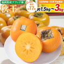 【ふるさと納税】 期間限定 福岡県産ブランド柿「秋王」 約1.5~3kg 返礼品 お取り寄せグルメ お取り寄せ グルメ カキ かき 果物 フルーツ 南国フルーツ CO-S0005 CO011 CO012